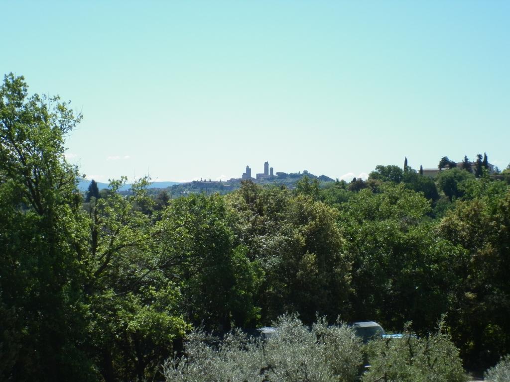 Podere Le Grotte San Gimignano Rom bilde